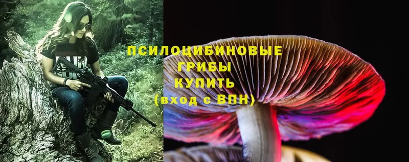 Гашиш Железногорск