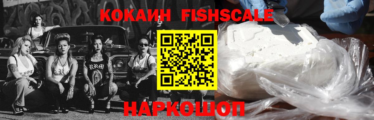 Кокаин Fish Scale  Cocaine 99%  где купить наркоту  Железногорск 