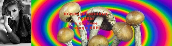соль курить ск Инсар