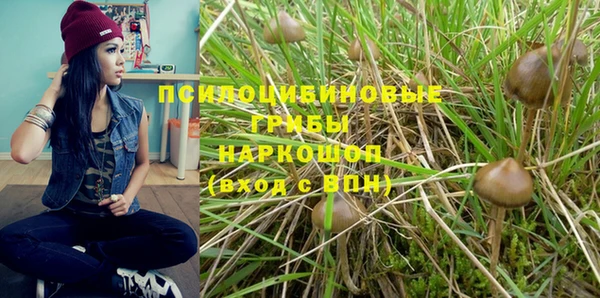 мдпв Лихославль