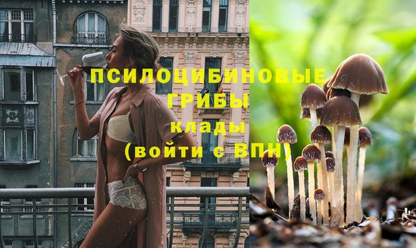 соль курить ск Инсар