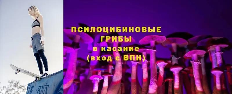 Псилоцибиновые грибы GOLDEN TEACHER  Железногорск 