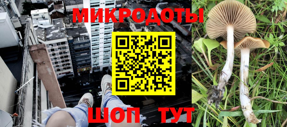 Галлюциногенные грибы Magic Shrooms  Железногорск 