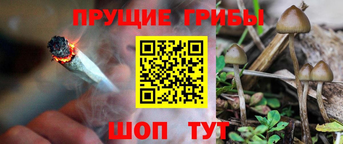 Псилоцибиновые грибы прущие грибы Железногорск